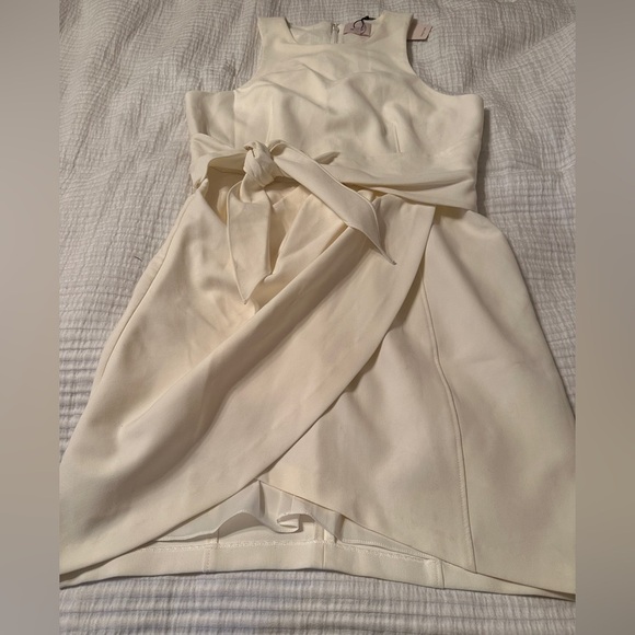 Cinq a Sept Cassaleigh Dress - NWT - Size 14 - Picture 6 of 15